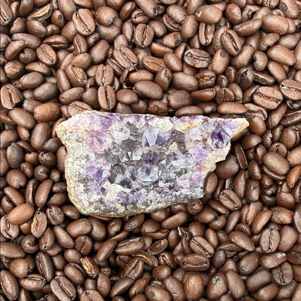 Amethyst Crystal Cluster - Purple Geode Specimen